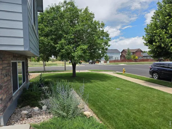 3445 Yule Trail, Fort Collins, CO 80524