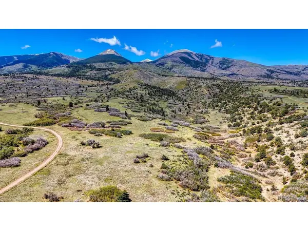 2269 Running Bear, Cotopaxi, CO 81223