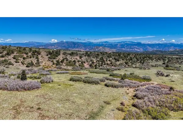 2269 Running Bear, Cotopaxi, CO 81223