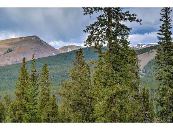 790 Mountain View, Fairplay, CO 80440