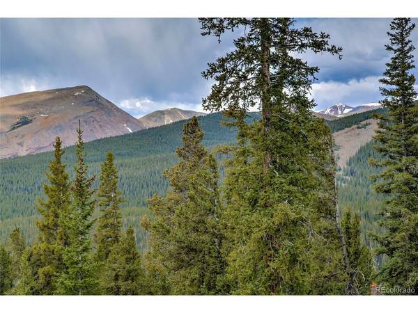 790 Mountain View, Fairplay, CO 80440