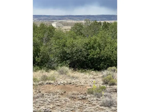 95 Prairie Wind Lane, Capulin, CO 81124
