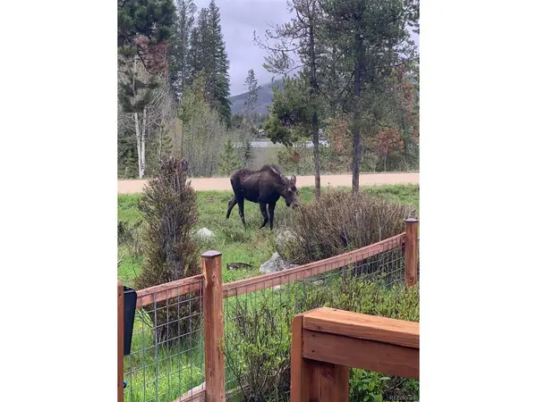 1384 GCR 494, Grand Lake, CO 80447