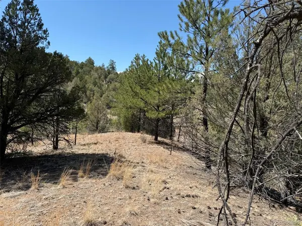 176 Arnold, Cotopaxi, CO 81223