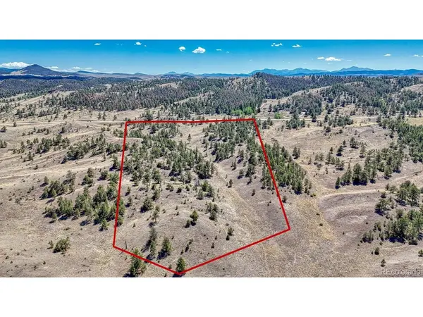 11 Hwy 9, Hartsel, CO 80449