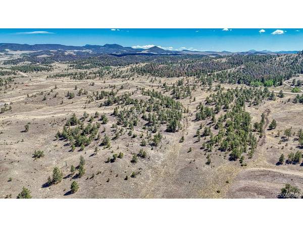 11 Hwy 9, Hartsel, CO 80449