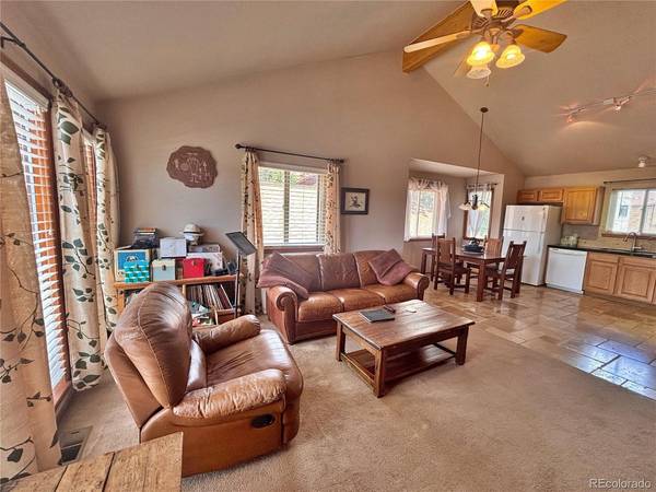 17 Silver Springs, Bailey, CO 80421