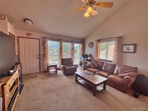 17 Silver Springs, Bailey, CO 80421