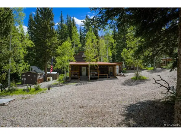 12123 County Rd 313, New Castle, CO 81647