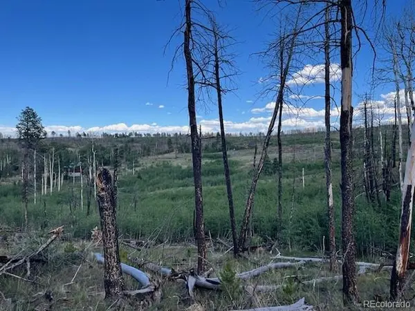 968 Hunington, Fort Garland, CO 81133