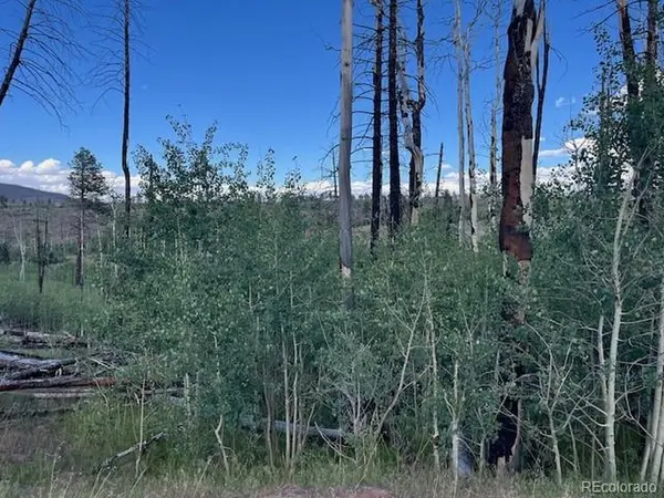 968 Hunington, Fort Garland, CO 81133