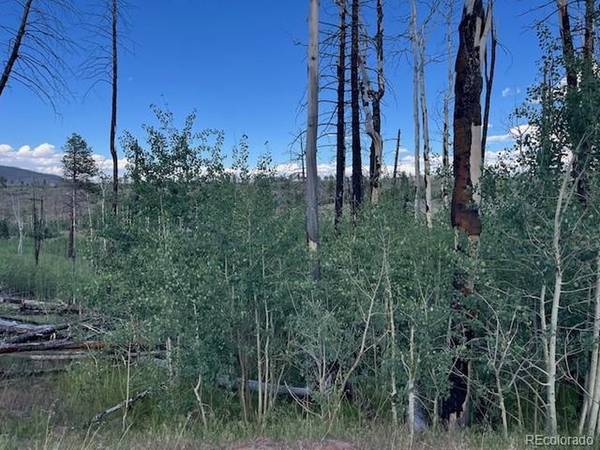 968 Hunington, Fort Garland, CO 81133