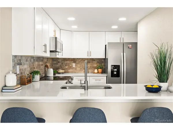206 S Holman, Golden, CO 80401
