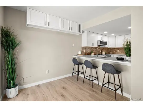 206 S Holman, Golden, CO 80401