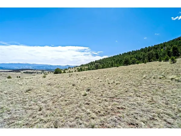 0 Roan, Guffey, CO 80820