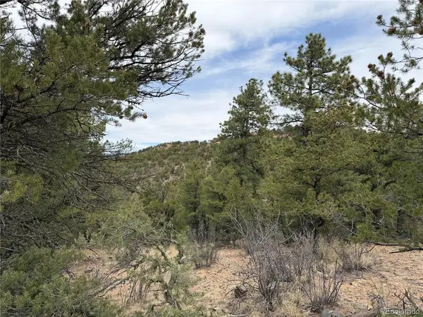 672 Coyote Run, Cotopaxi, CO 81223