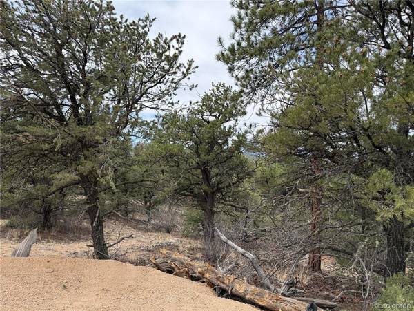 672 Coyote Run, Cotopaxi, CO 81223