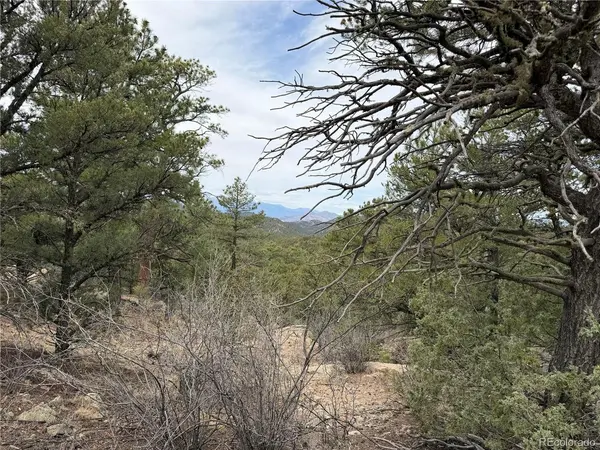 672 Coyote Run, Cotopaxi, CO 81223