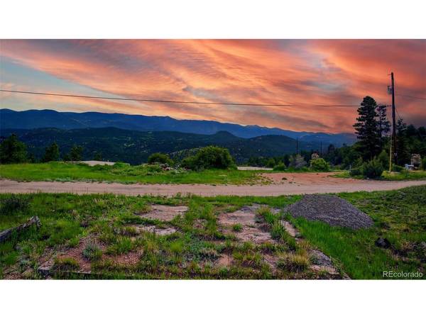 33888 Mineral, Pine, CO 80470