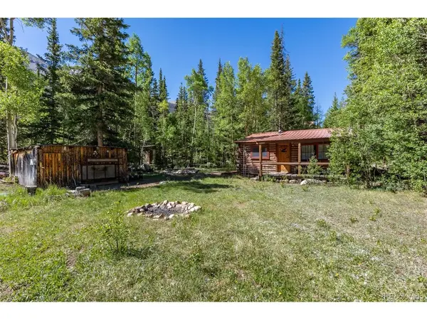 18990 Cr-294, Nathrop, CO 81236