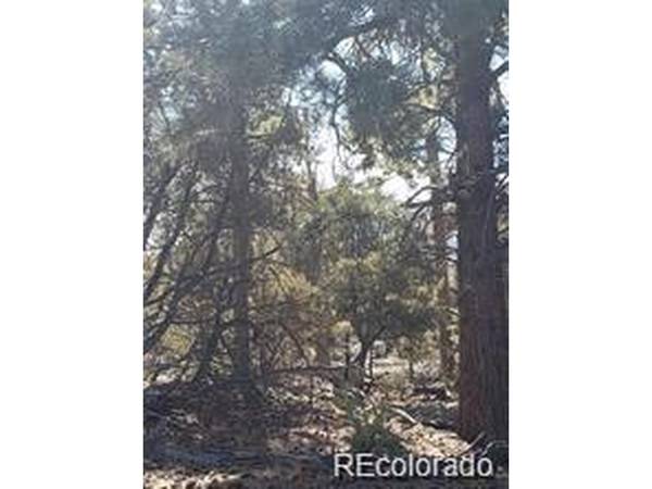 2 Costilla, Alamosa, CO 81101
