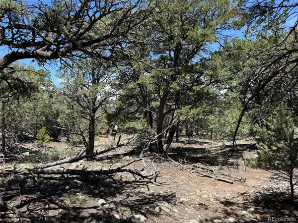 2150 Indian Well, Crestone, CO 81131