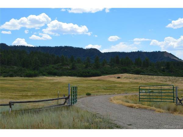 73 Parelli Institute, Pagosa Springs, CO 81147