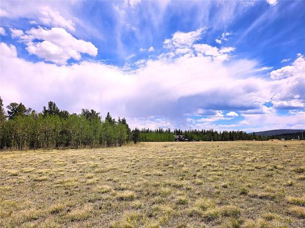 38033 Foxtail, Fairplay, CO 80440