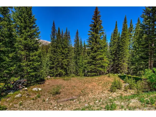 307 CR 674, Breckenridge, CO 80424