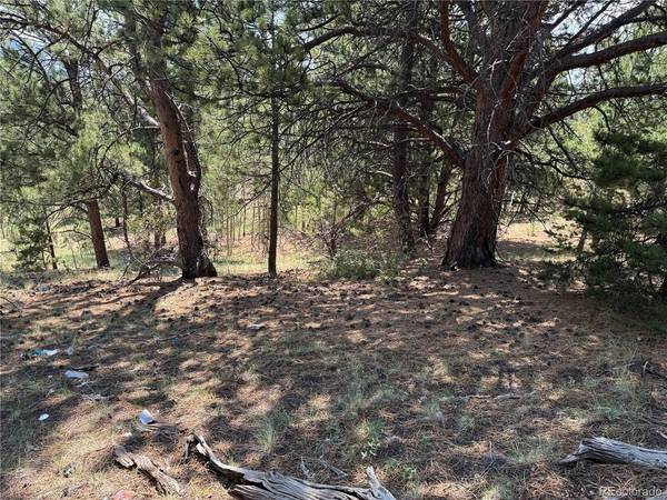 1986 May Queen, Cripple Creek, CO 80813