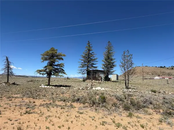101 Doe, Hartsel, CO 80449