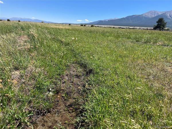 15972 County Road 306, Buena Vista, CO 81211