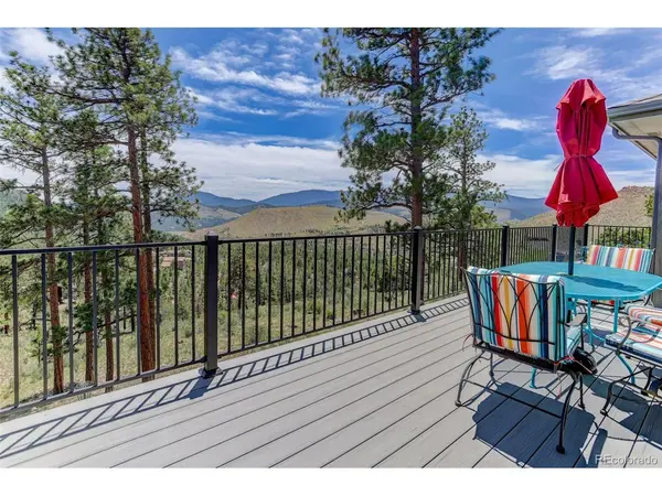 30236 Zurich, Pine, CO 80470