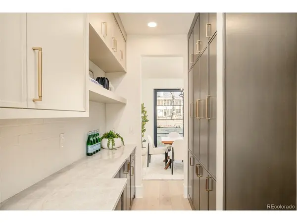415 S Williams, Denver, CO 80209