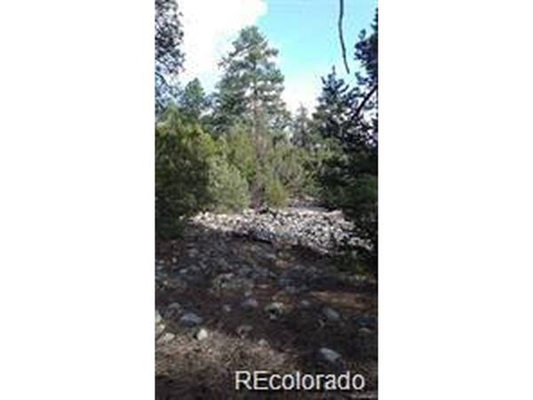 13 Costilla, Alamosa, CO 81101