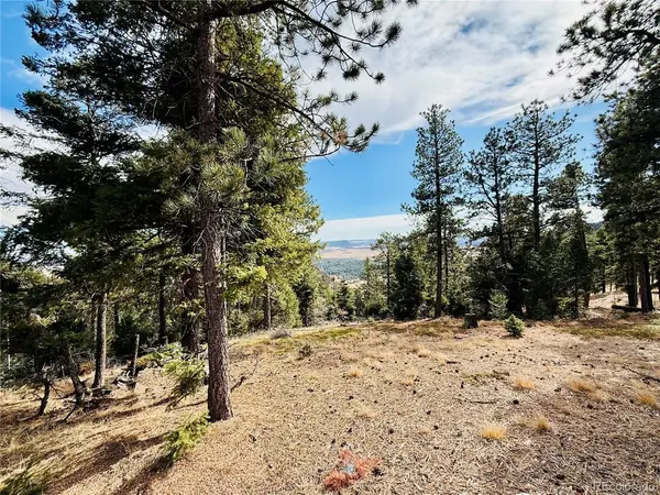 13948 Boulder, Larkspur, CO 80118