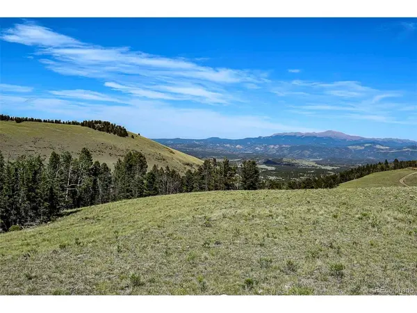 0 Bear Cat, Guffey, CO 80820