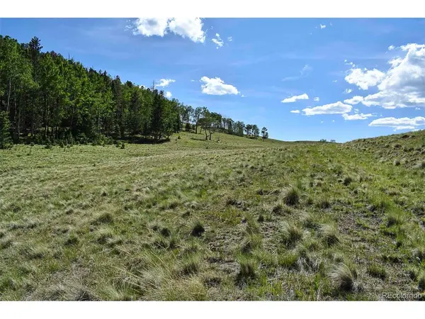 0 Bear Cat, Guffey, CO 80820