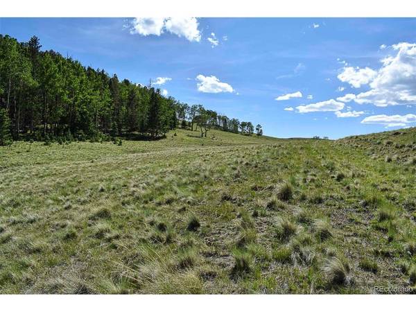 0 Bear Cat, Guffey, CO 80820