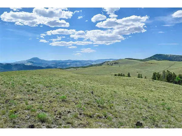 0 Bear Cat, Guffey, CO 80820