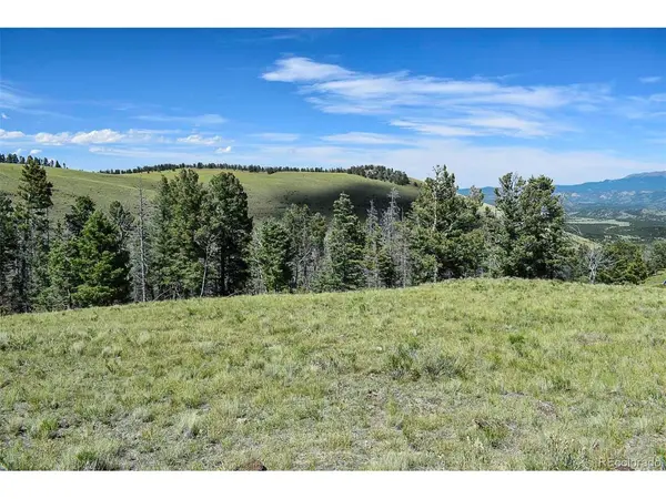 0 Bear Cat, Guffey, CO 80820