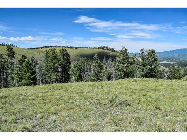 0 Bear Cat, Guffey, CO 80820
