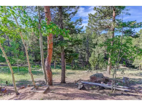 4 Honeysuckle, Woodland Park, CO 80863