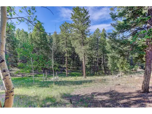 4 Honeysuckle, Woodland Park, CO 80863