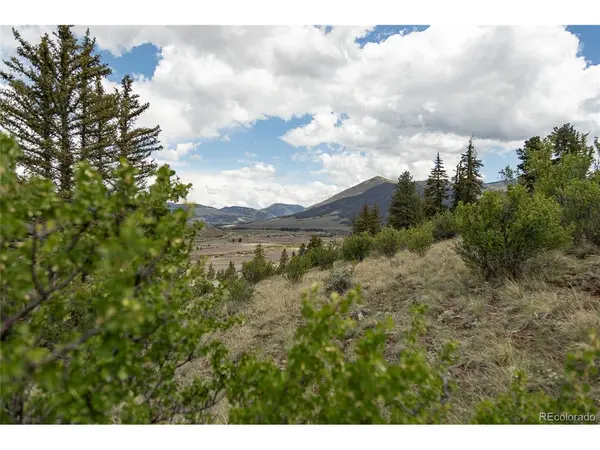 TBD Hwy 149, Creede, CO 81130
