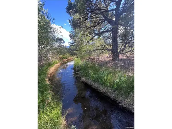 33077 US Highway 24, Buena Vista, CO 81211