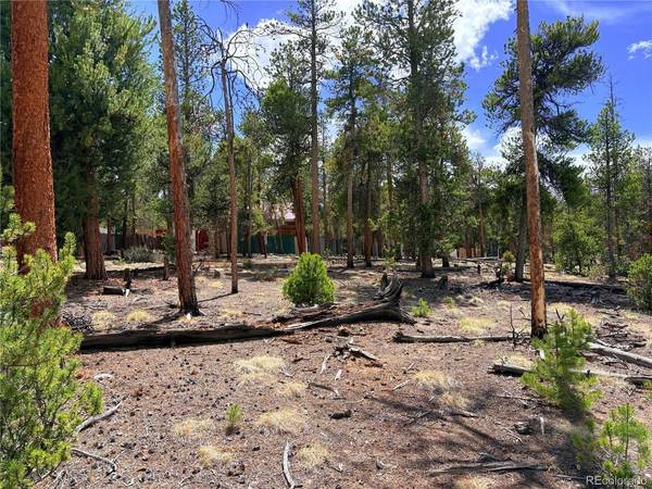 360 Lodgepole, Leadville, CO 80461