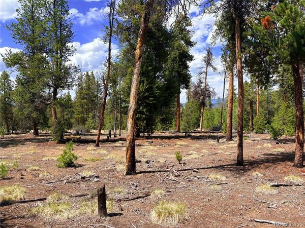 360 Lodgepole, Leadville, CO 80461