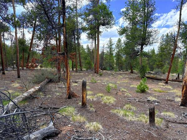 360 Lodgepole, Leadville, CO 80461