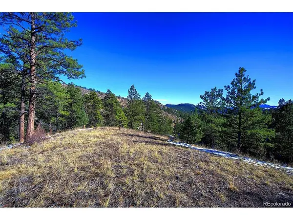 6 Turret Peak, Pine, CO 80470